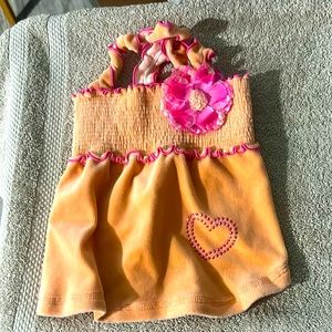 LAST CHANCE! SMOOCHI POOCH Orange/Pink dress never worn laundered for posh SizeM